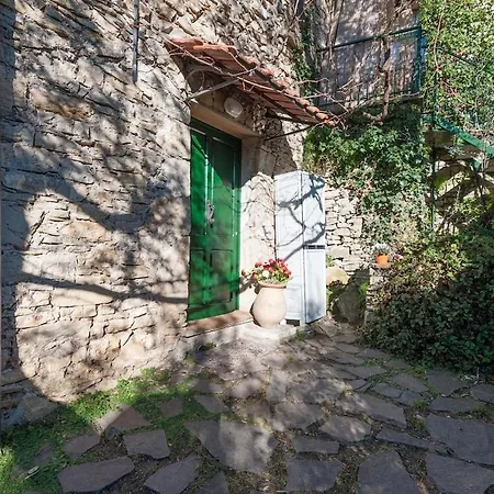 Flat In Rustico - Garden Sea View Lejlighed